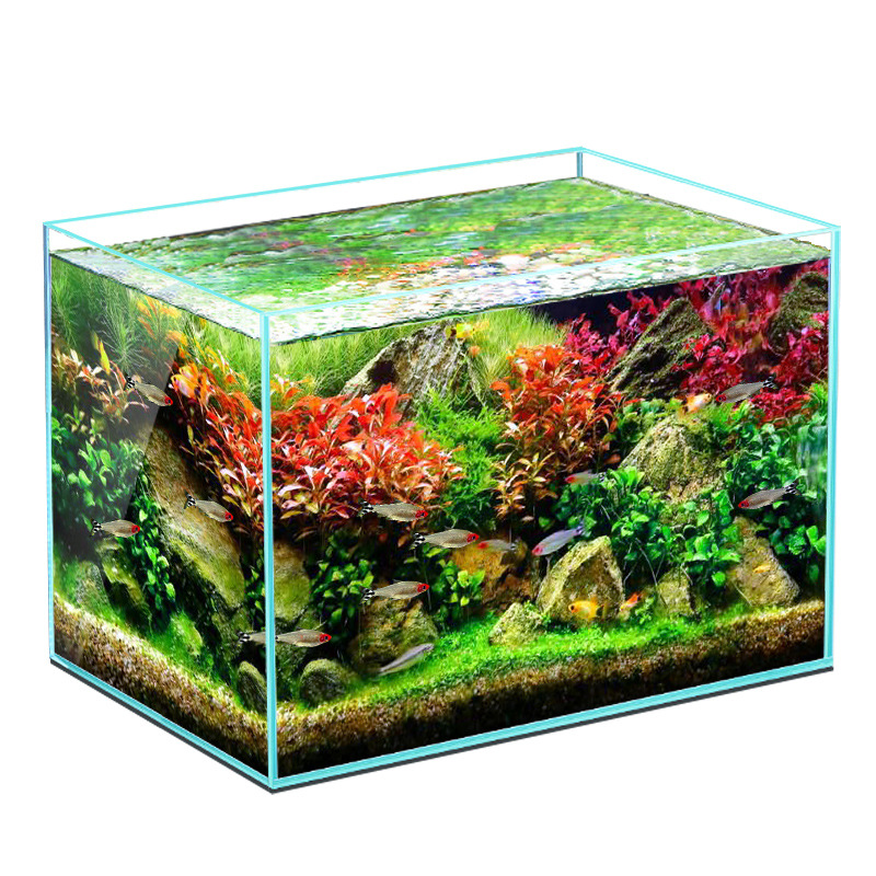 Idayisi elishisayo lesitayela senhlanzi ithangi le-acrylic nengilazi YEE ithangi lamanzi elincane i-aquarium mini fish tank