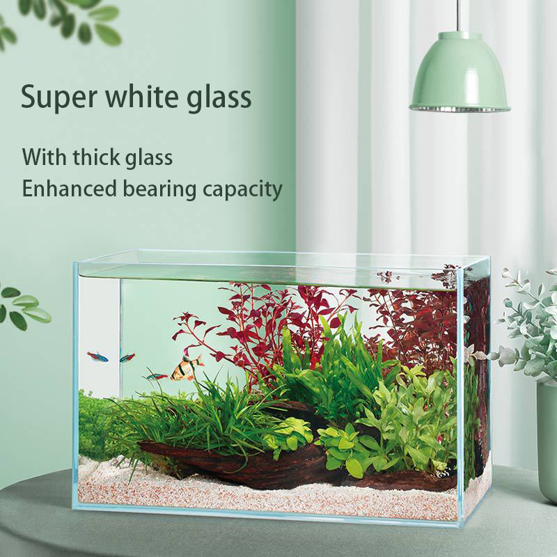 Horký prodej obdélníkového ekologického malého rybího nádrže Ultra bílé sklo 5mm skleněné akvárium