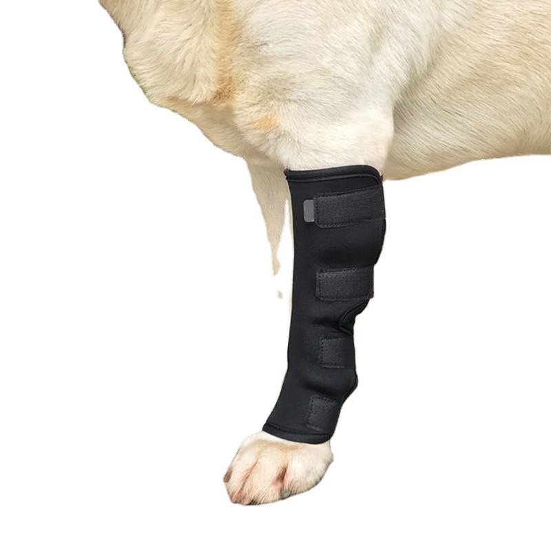 يمكن تعديل وسادات ركبة الكلاب بالجملة للحفاظ على دفء وسادات ركبة الكلاب المصابة