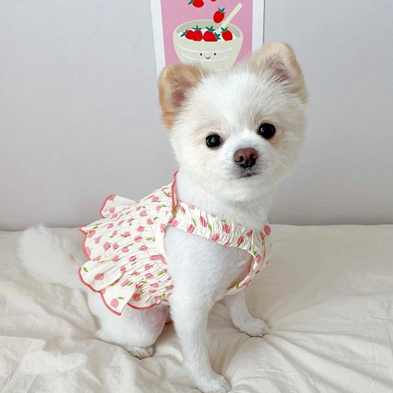 2022 Noua rochie pentru animale de companie Puppy Teddy Haine de vara pentru animale de companie Rochie pentru caini mici